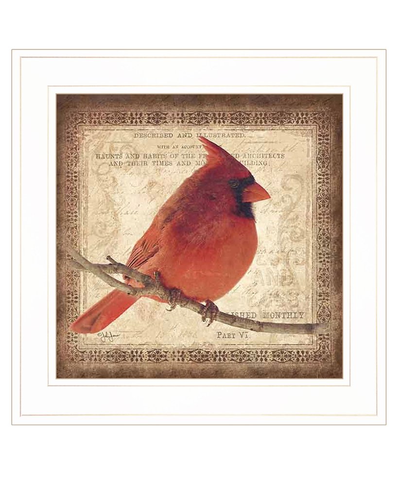 Male Cardinal 1 White Framed Print Wall Art HomeRoots