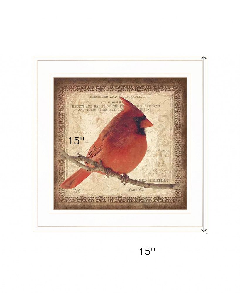 Male Cardinal 1 White Framed Print Wall Art HomeRoots