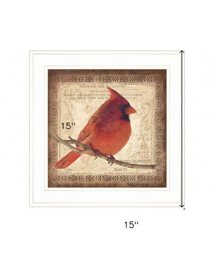 Male Cardinal 1 White Framed Print Wall Art HomeRoots