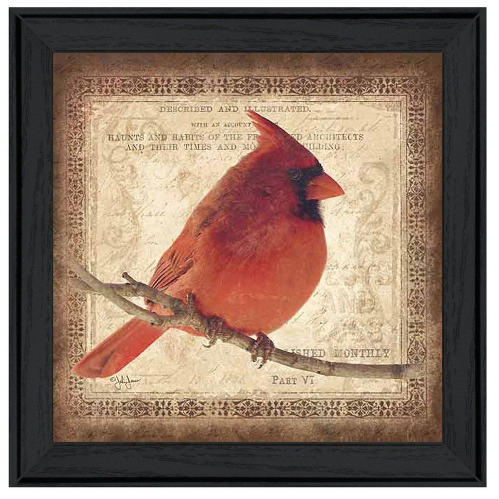 Male Cardinal 2 Black Framed Print Wall Art HomeRoots