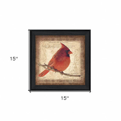 Male Cardinal 2 Black Framed Print Wall Art HomeRoots