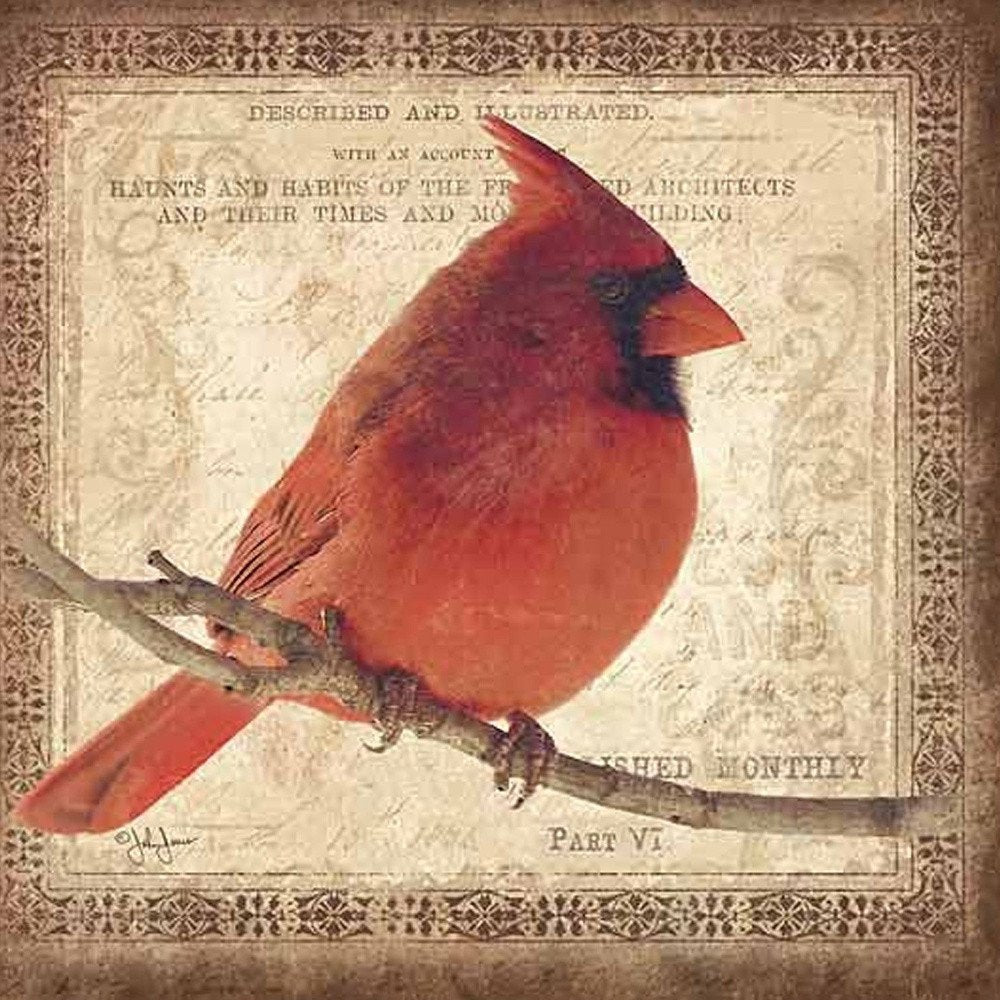 Male Cardinal 2 Black Framed Print Wall Art — view 3