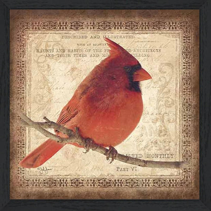 Male Cardinal 2 Black Framed Print Wall Art HomeRoots