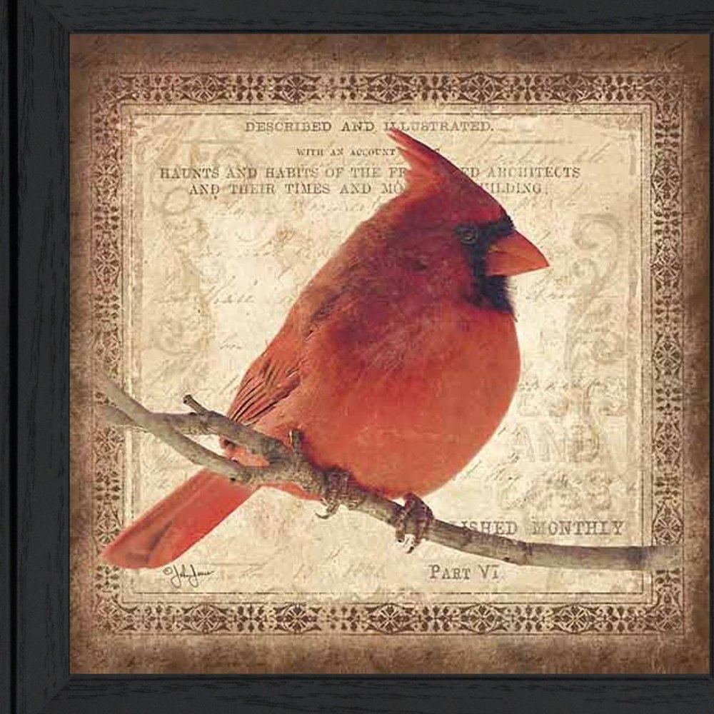 Male Cardinal 2 Black Framed Print Wall Art HomeRoots