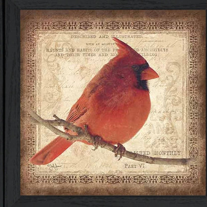Male Cardinal 2 Black Framed Print Wall Art HomeRoots