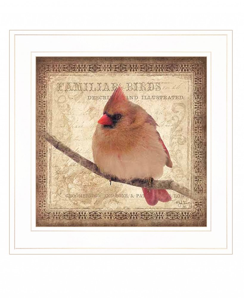 Female Cardinal 1 White Framed Print Wall Art — view 1