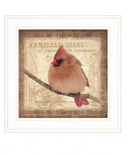 Female Cardinal 1 White Framed Print Wall Art HomeRoots