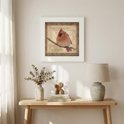 Female Cardinal 1 White Framed Print Wall Art HomeRoots