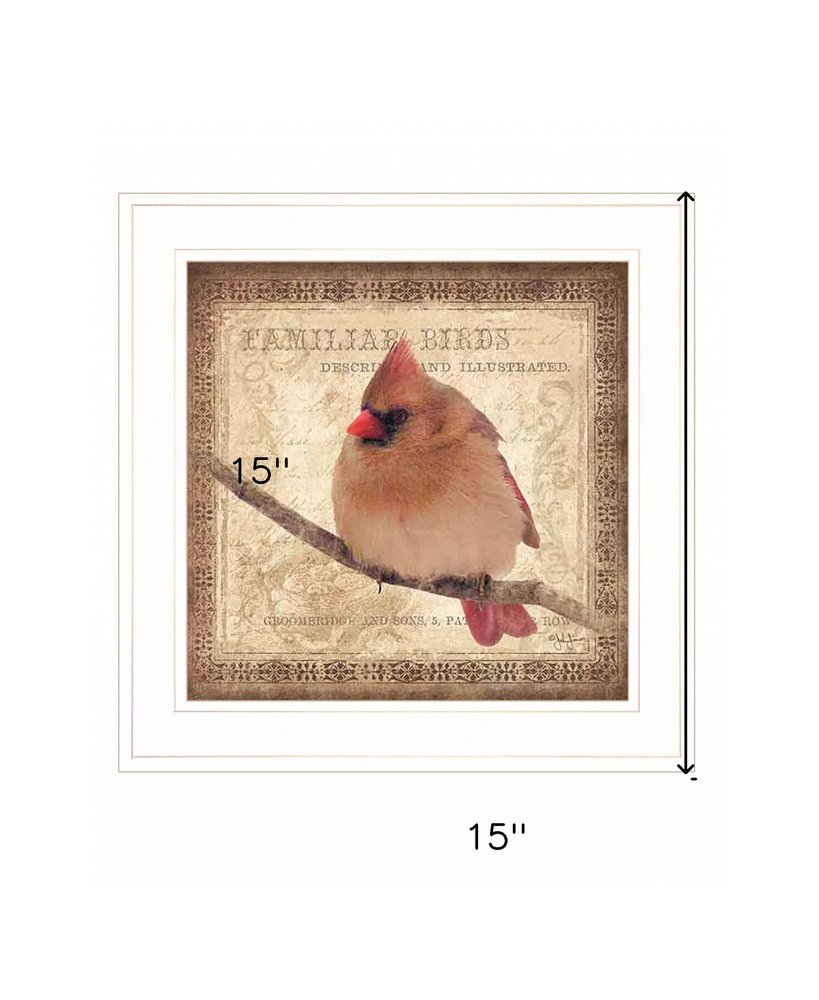 Female Cardinal 1 White Framed Print Wall Art HomeRoots