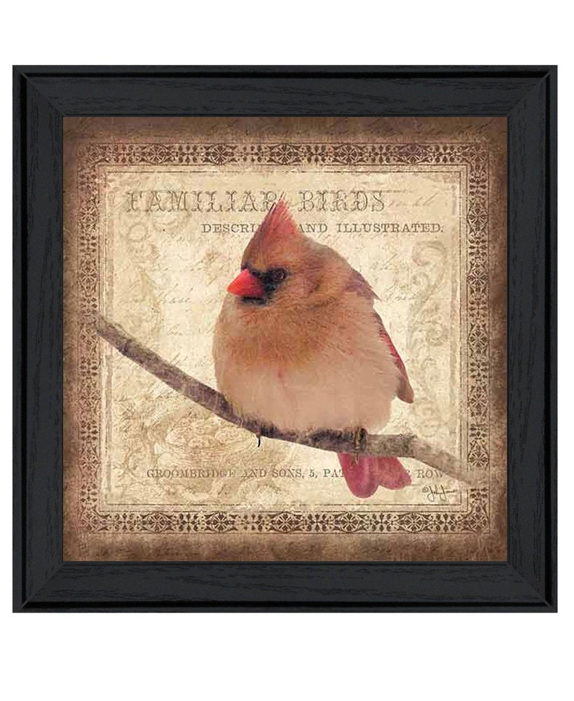 Female Cardinal 2 Black Framed Print Wall Art — view 1