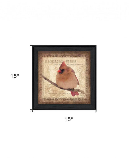 Female Cardinal 2 Black Framed Print Wall Art HomeRoots