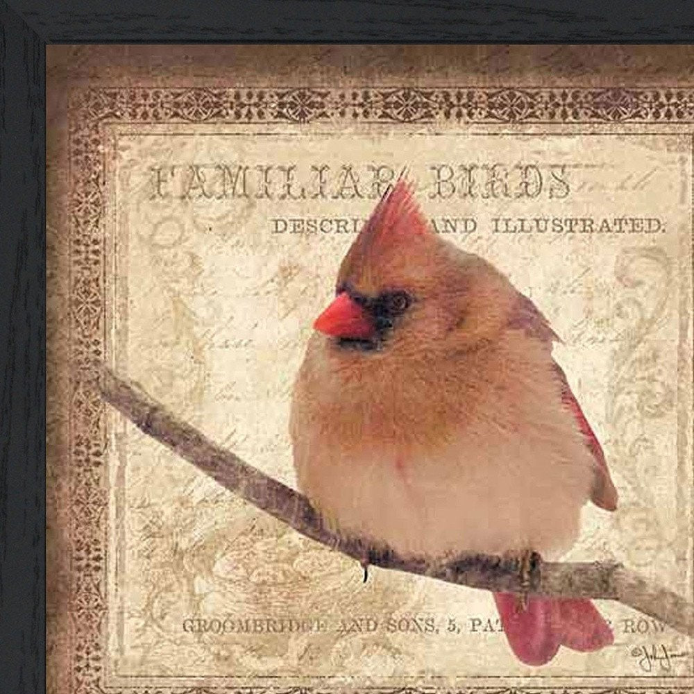 Female Cardinal 2 Black Framed Print Wall Art — view 3