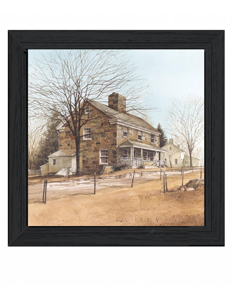House on Chestnut Black Framed Print Wall Art — view 2