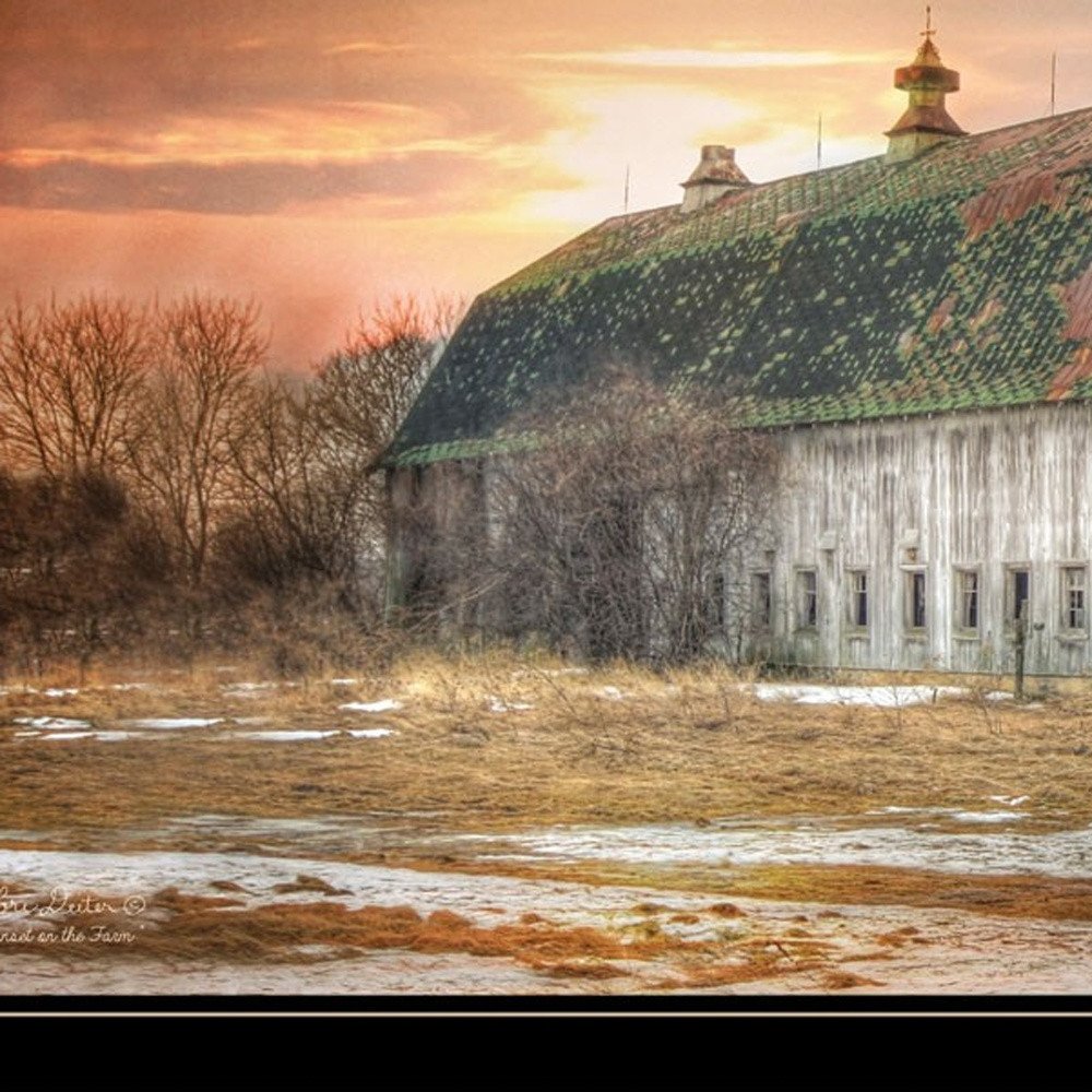 Sunset on the Farm 2 Black Framed Print Wall Art HomeRoots