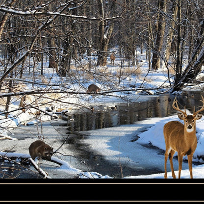 Great Outdoors Nature 2 Black Framed Print Wall Art HomeRoots