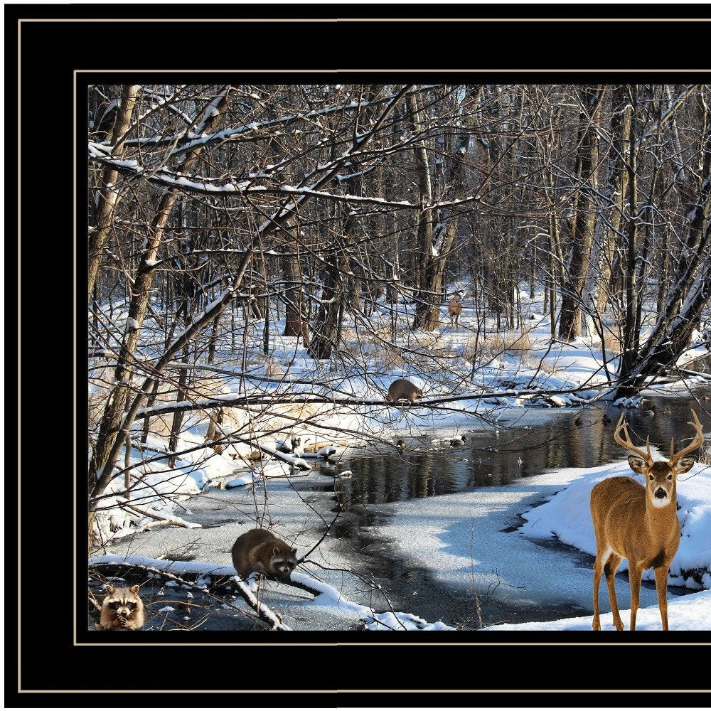 Great Outdoors Nature 2 Black Framed Print Wall Art HomeRoots