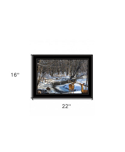 Great Outdoors Nature 2 Black Framed Print Wall Art HomeRoots