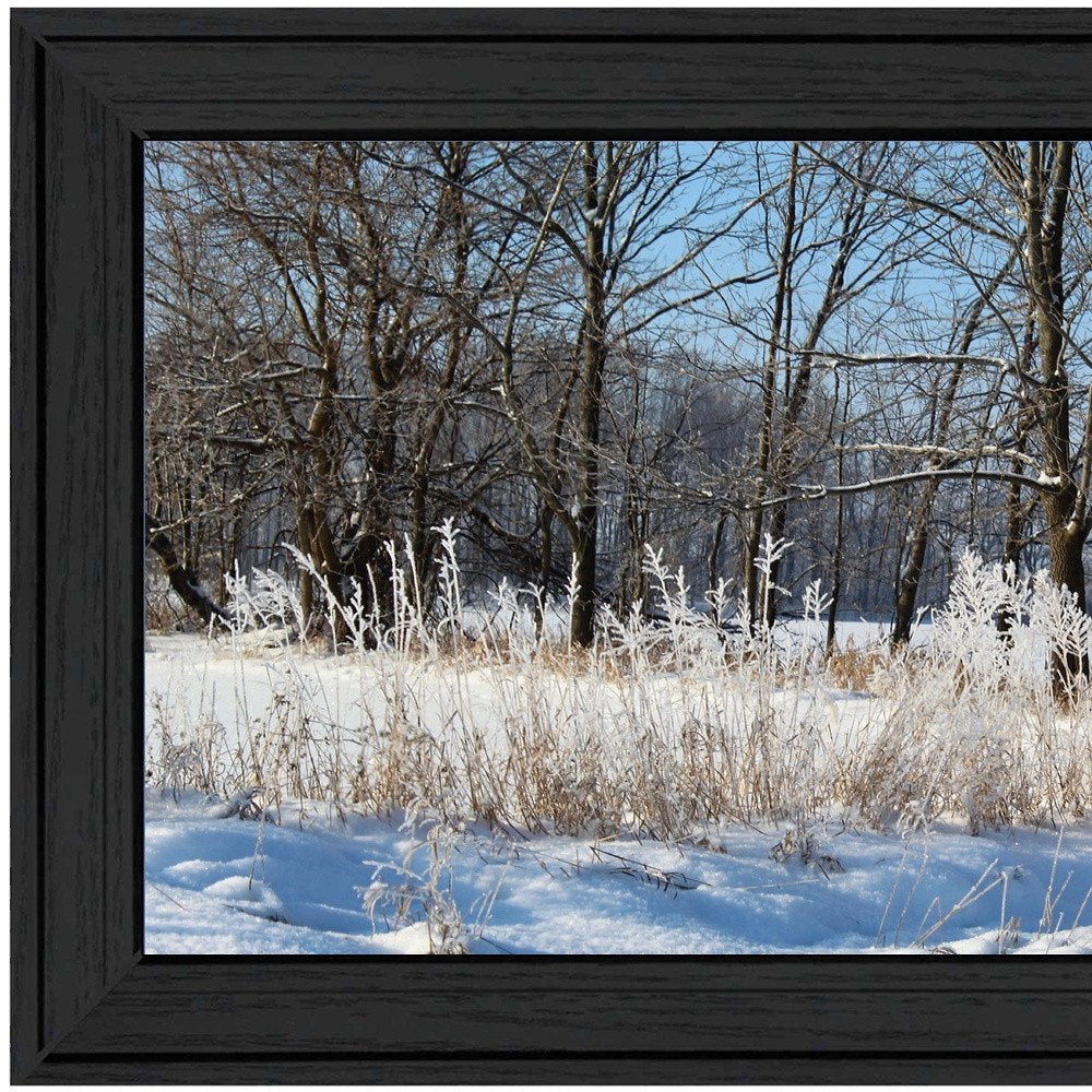 Natures Simple Blessings 1 Black Framed Print Wall Art — view 3