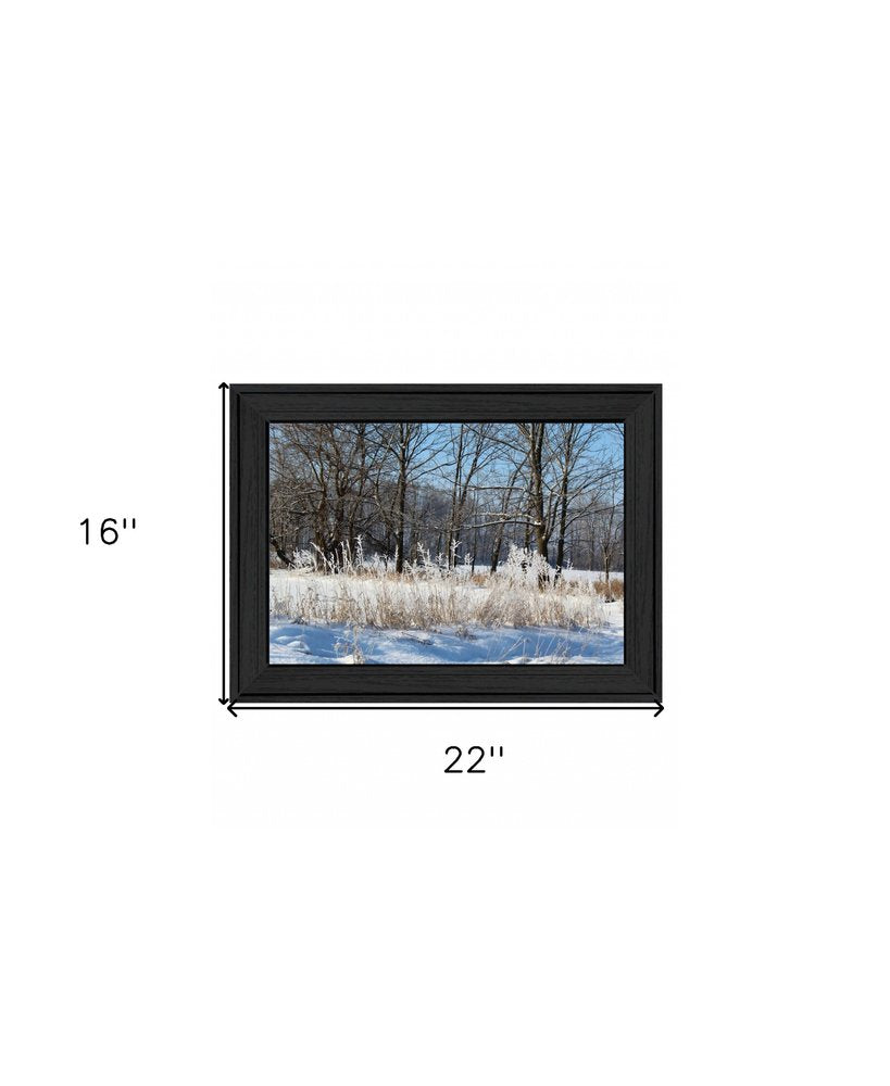Natures Simple Blessings 1 Black Framed Print Wall Art — view 5