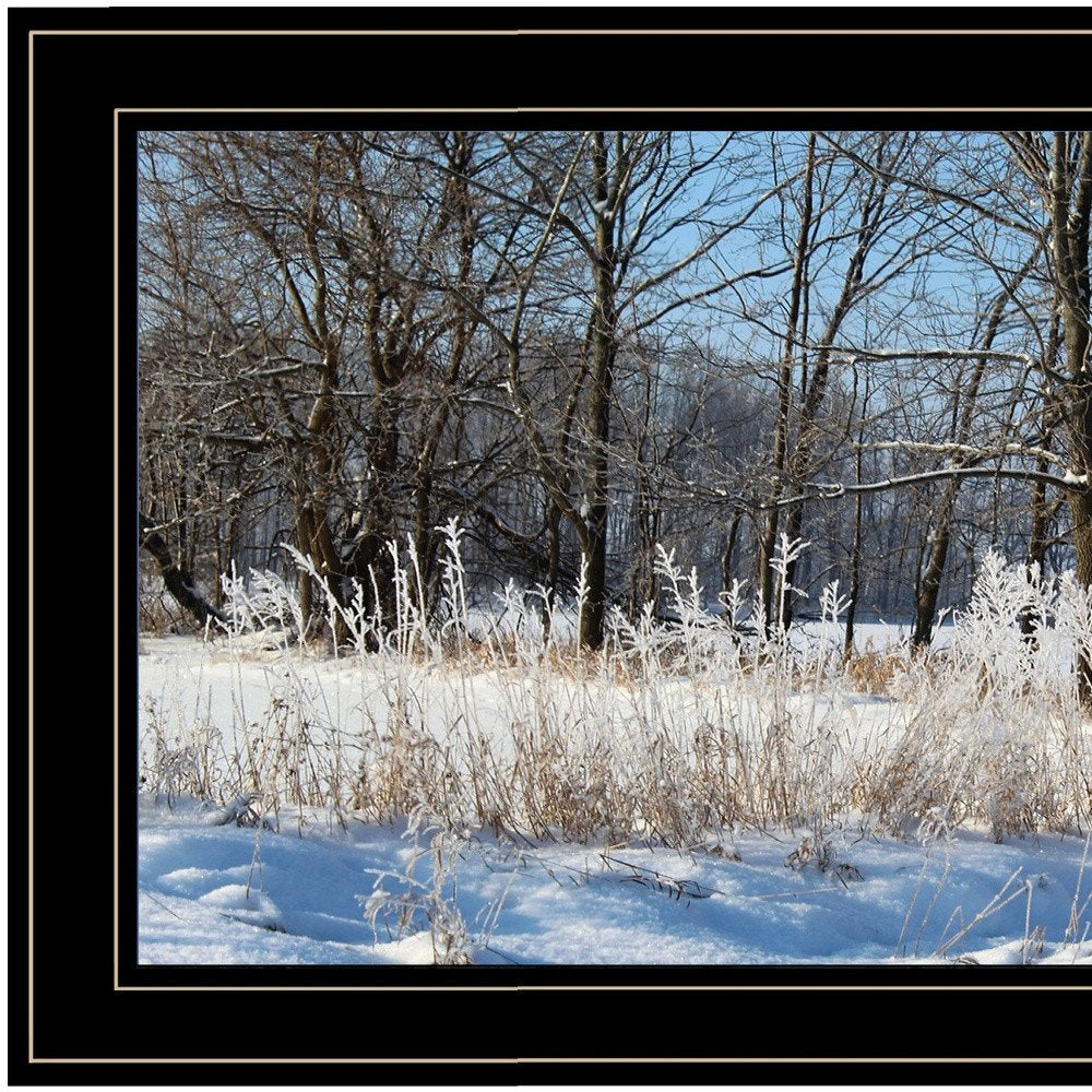 Natures Simple Blessings 2 Black Framed Print Wall Art HomeRoots