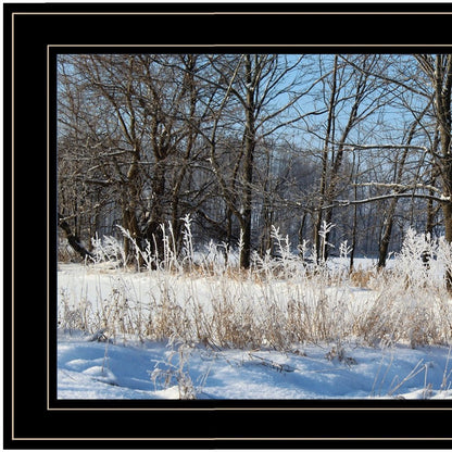 Natures Simple Blessings 2 Black Framed Print Wall Art HomeRoots