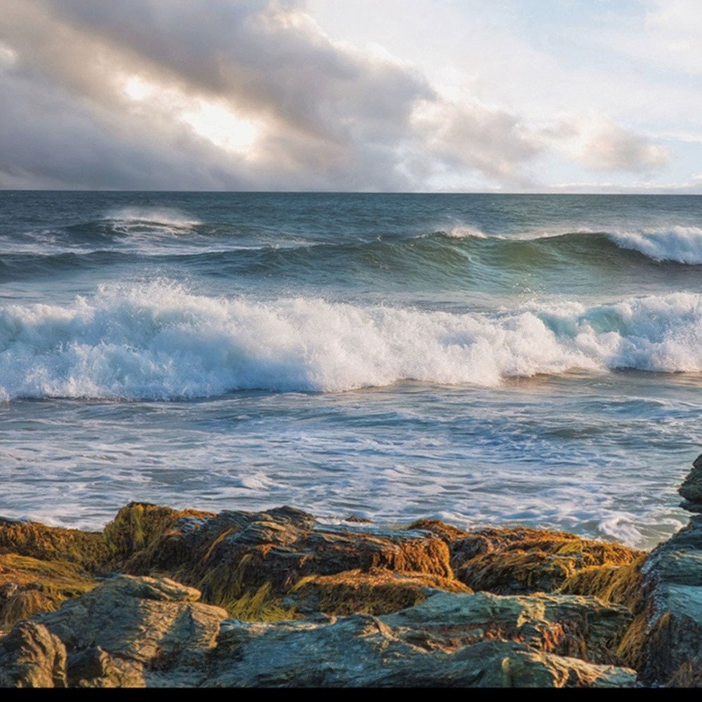 The Clearing 2 Black Framed Print Wall Art — view 3
