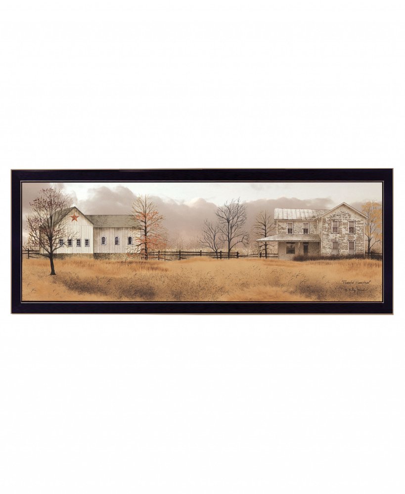 Peaceful Homestead 3 Black Framed Print Wall Art HomeRoots