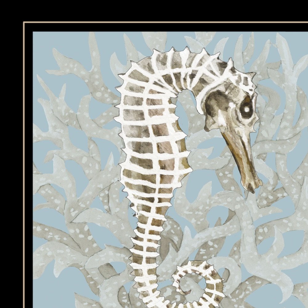 Coral Seahorse I 3 Black Framed Print Wall Art HomeRoots