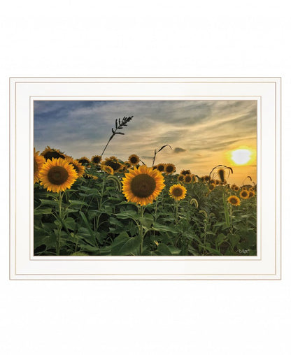 Midwest Livin I 1 White Framed Print Wall Art HomeRoots