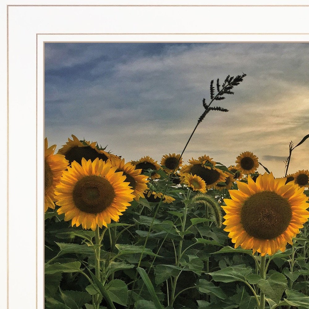 Midwest Livin I 1 White Framed Print Wall Art HomeRoots