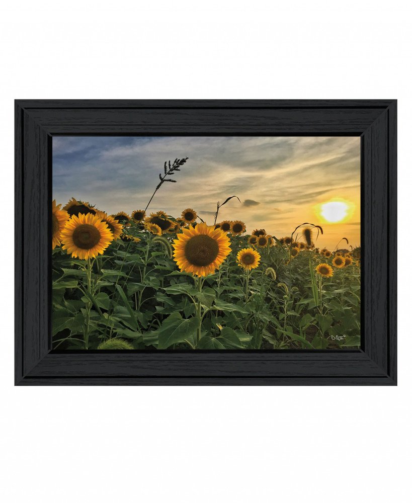 Midwest Livin I 1 White Framed Print Wall Art — view 6