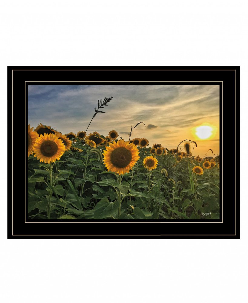 Midwest Livin I 3 Black Framed Print Wall Art — view 1