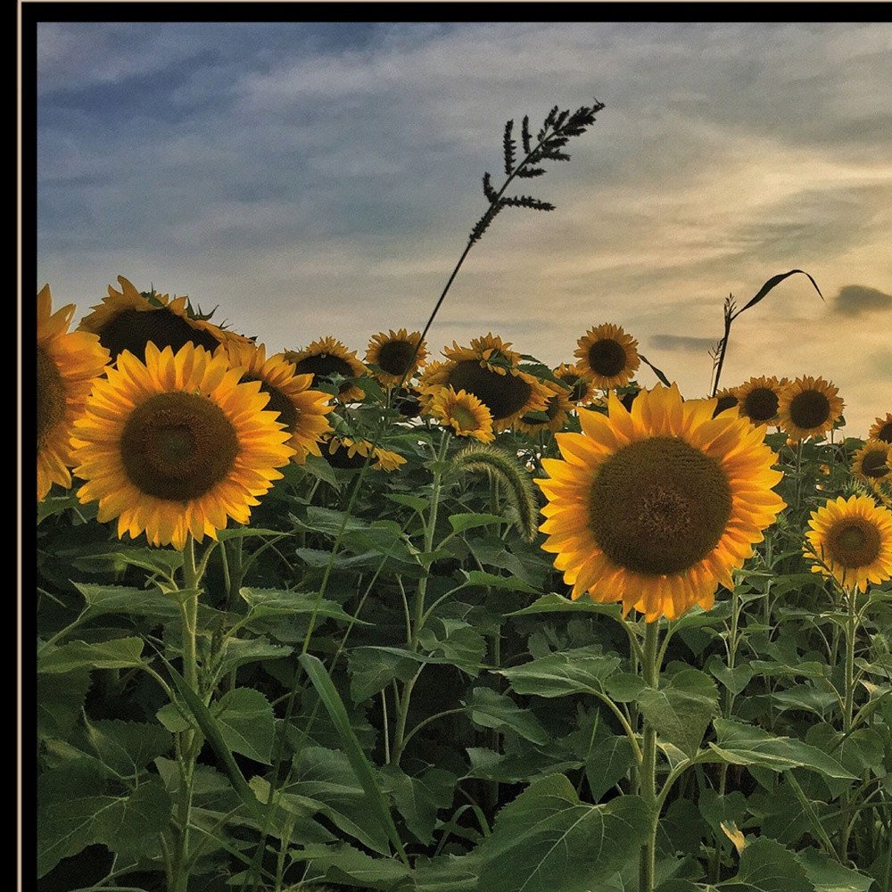 Midwest Livin I 3 Black Framed Print Wall Art — view 3