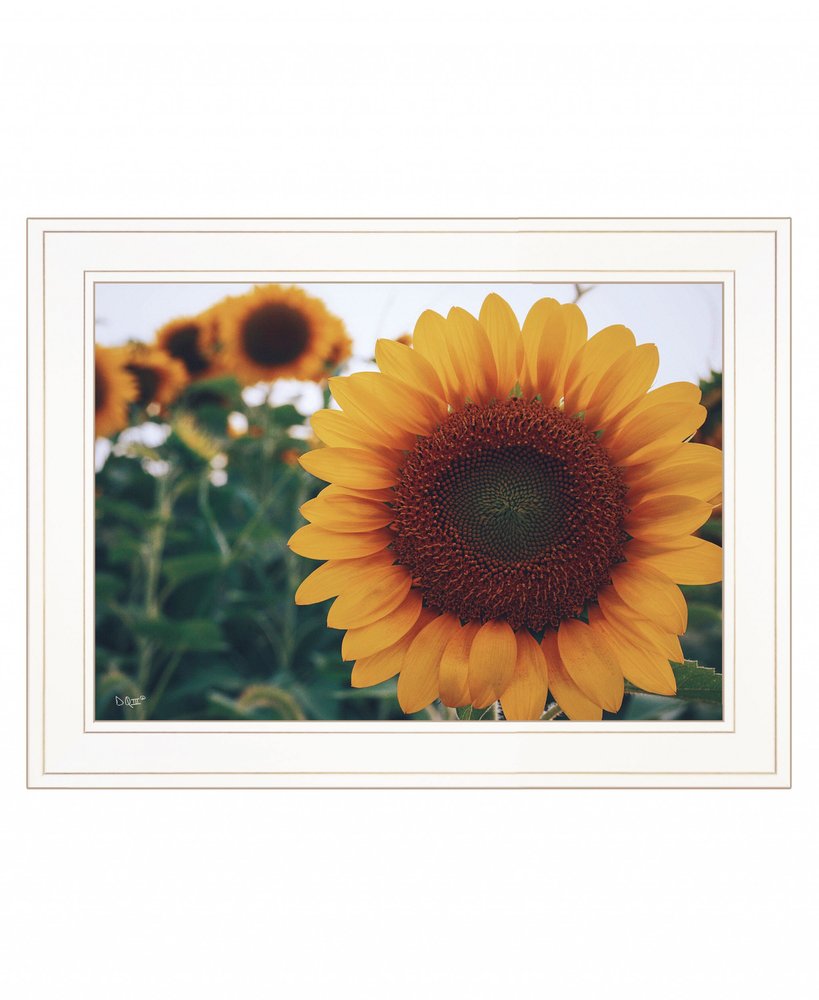 Midwest Livin II 2 White Framed Print Wall Art HomeRoots