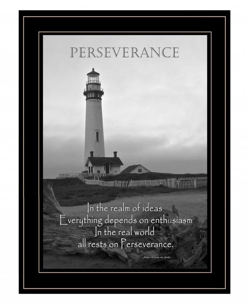 Perseverance Grayscale 2 Black Framed Print Wall Art HomeRoots
