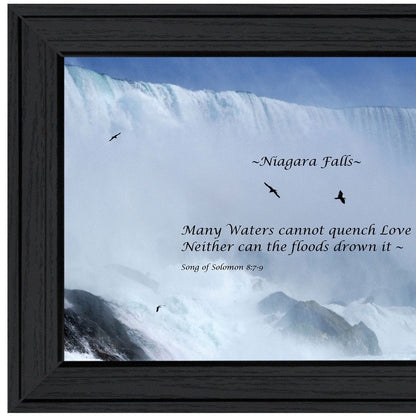 Song of Solomon Black Framed Print Wall Art HomeRoots