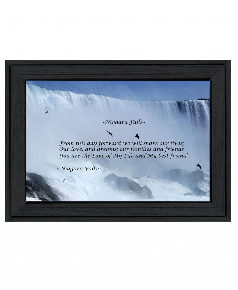 Niagara Falls Black Framed Print Wall Art — view 1