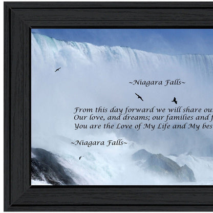 Niagara Falls Black Framed Print Wall Art HomeRoots