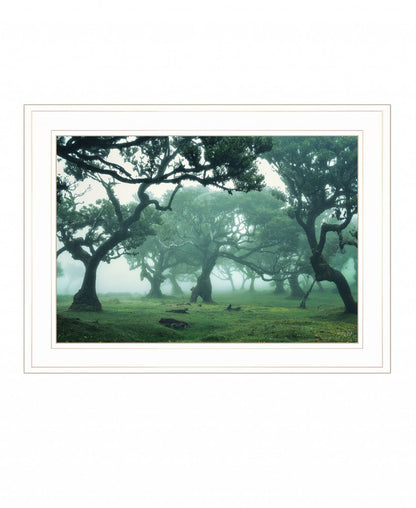 Enchanted Forest II 2 White Framed Print Wall Art HomeRoots