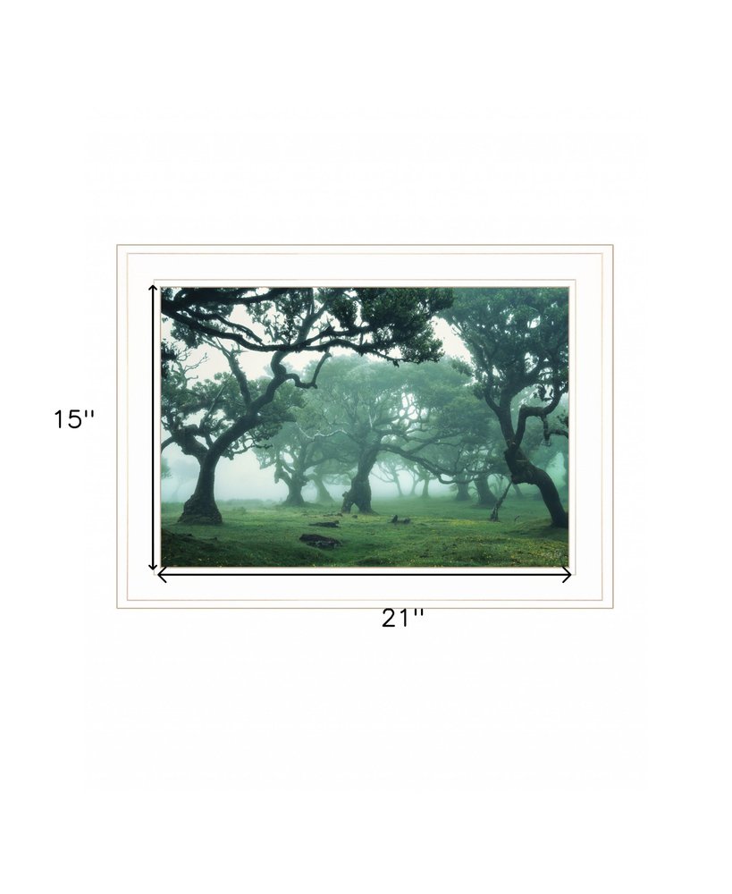 Enchanted Forest II 2 White Framed Print Wall Art HomeRoots