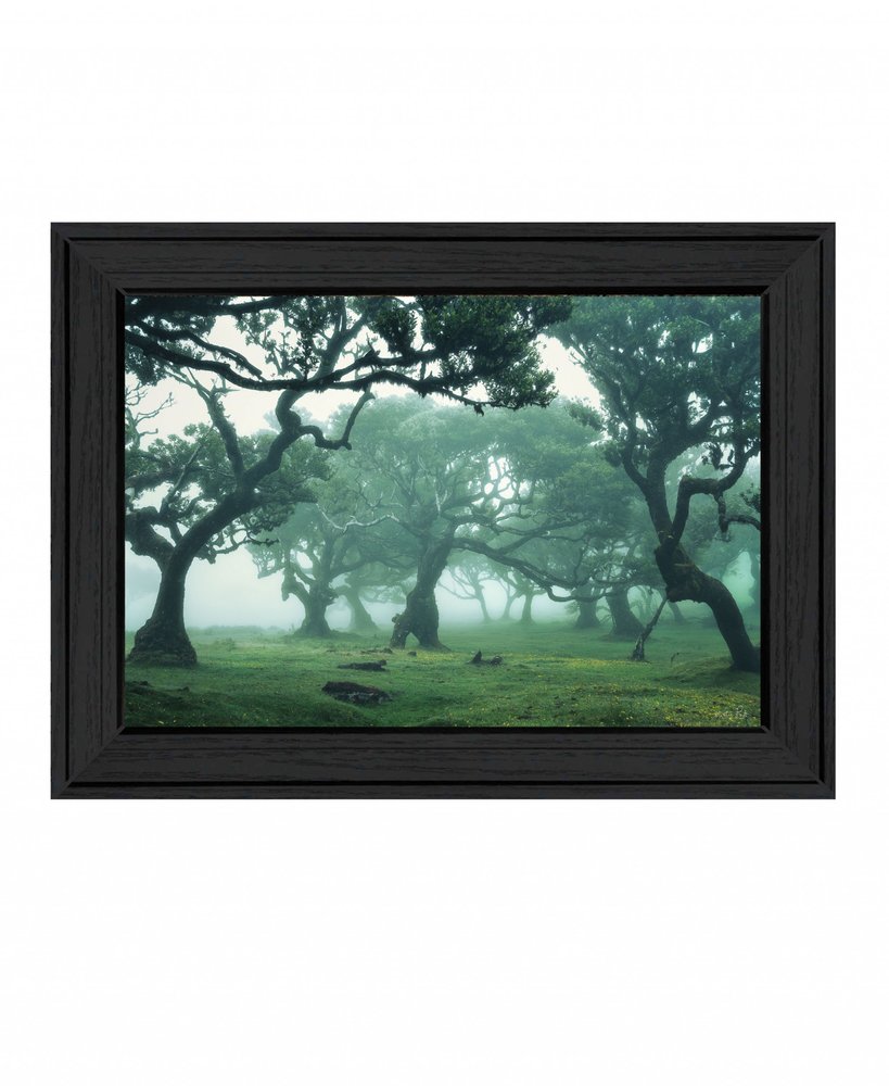 Enchanted Forest II 3 Black Framed Print Wall Art — view 1