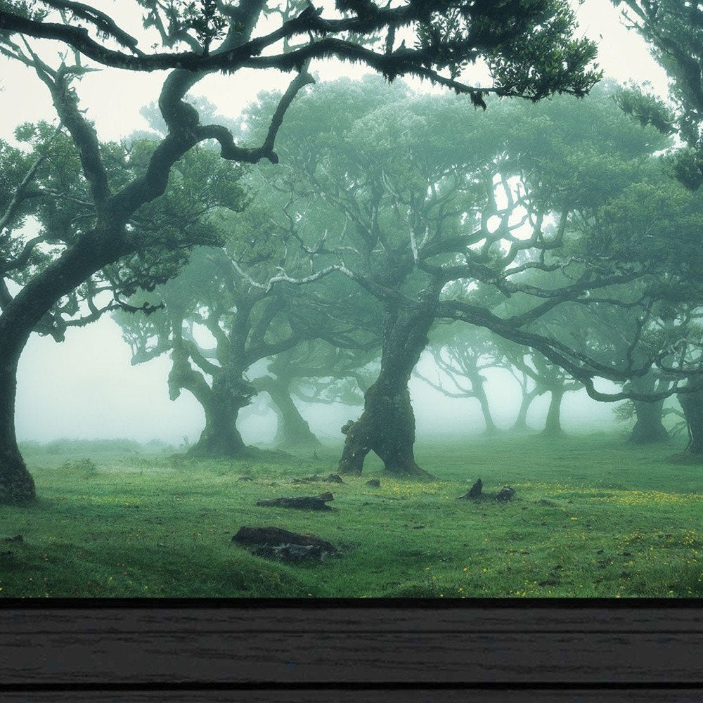 Enchanted Forest II 3 Black Framed Print Wall Art — view 3