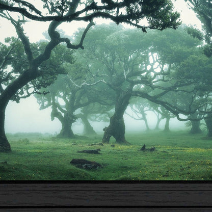 Enchanted Forest II 3 Black Framed Print Wall Art HomeRoots