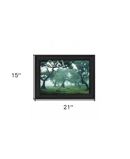 Enchanted Forest II 3 Black Framed Print Wall Art HomeRoots