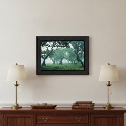 Enchanted Forest II 3 Black Framed Print Wall Art HomeRoots