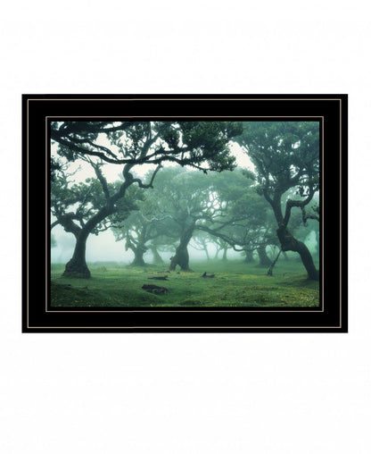 Enchanted Forest II 2 White Framed Print Wall Art HomeRoots