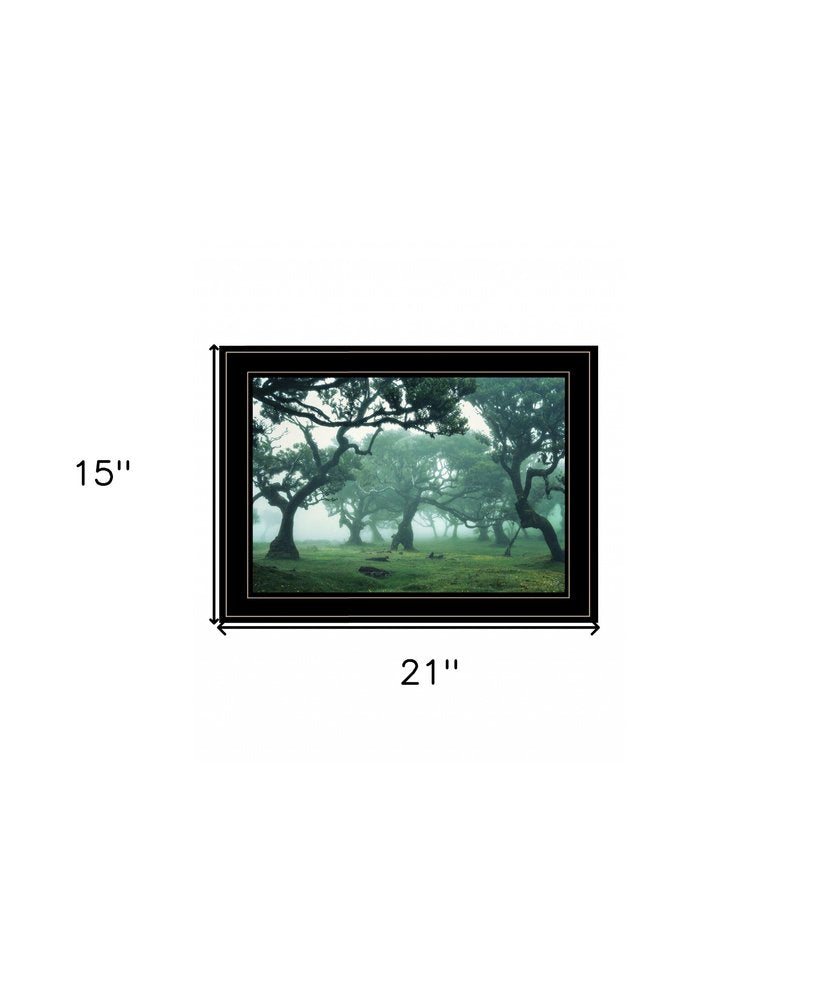 Enchanted Forest II 2 White Framed Print Wall Art HomeRoots