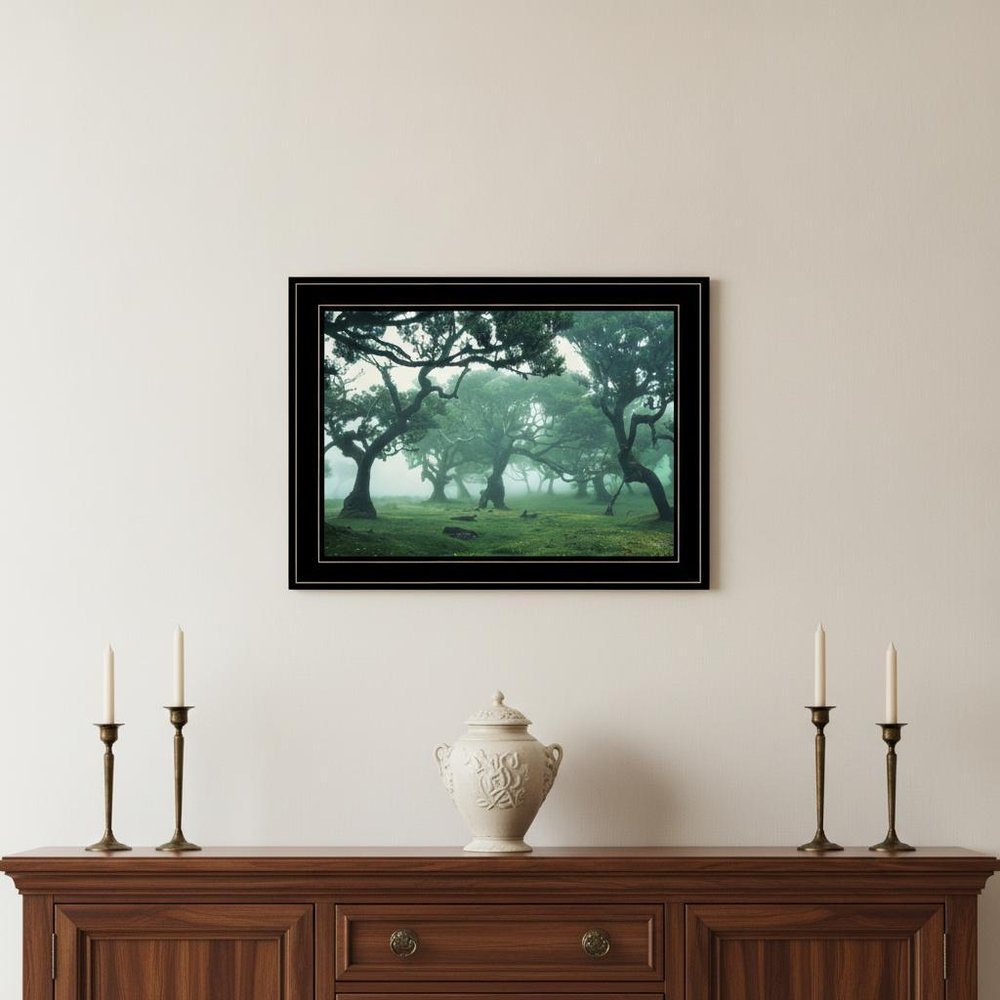 Enchanted Forest II 2 White Framed Print Wall Art HomeRoots