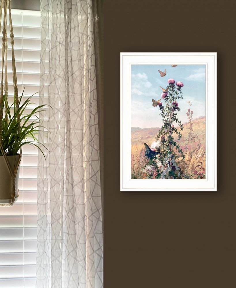 Meadow Butterflies 1 White Framed Print Wall Art HomeRoots
