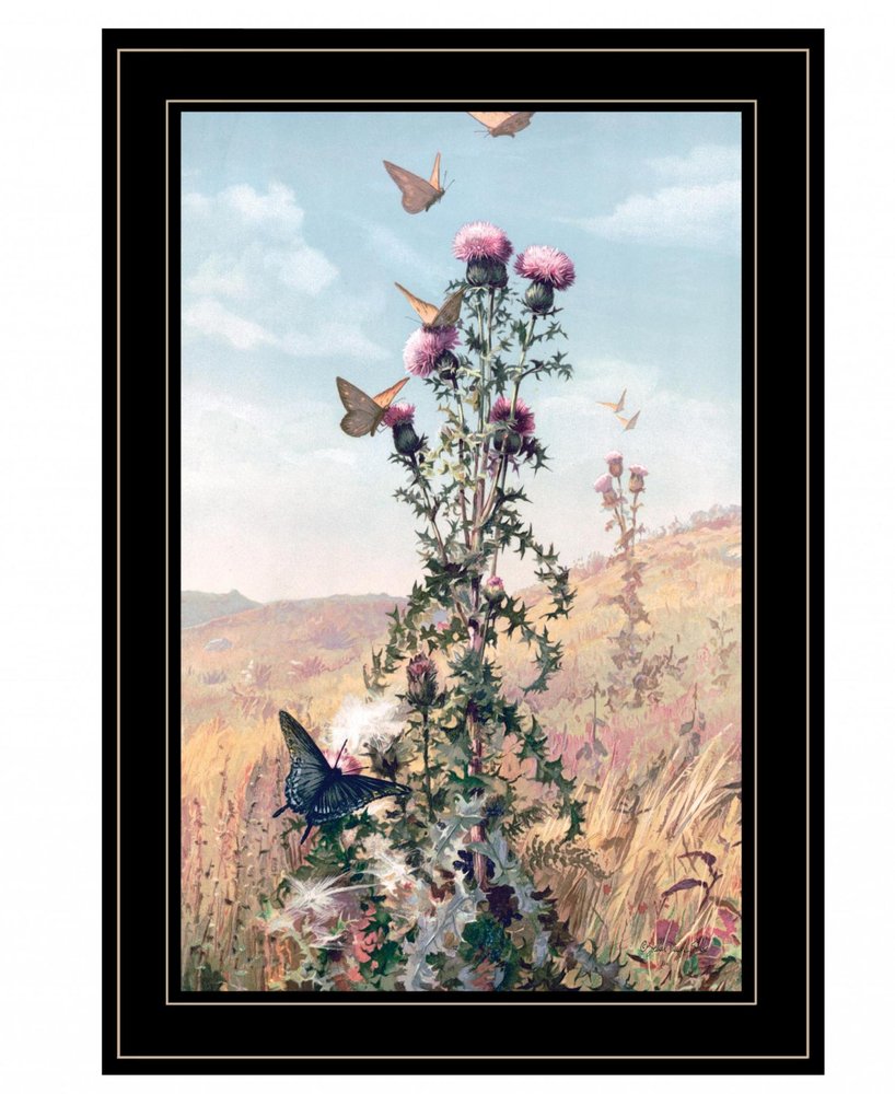Meadow Butterflies 2 Black Framed Print Wall Art HomeRoots